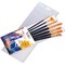 Paint Brush Set for Acrylic Watercolor Oil Gouache Art Brushes ( Black Handle )